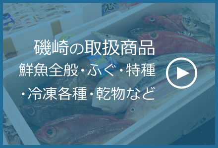 磯崎の取扱商品　鮮魚全般・ふぐ・特殊・冷凍各種・乾物など
