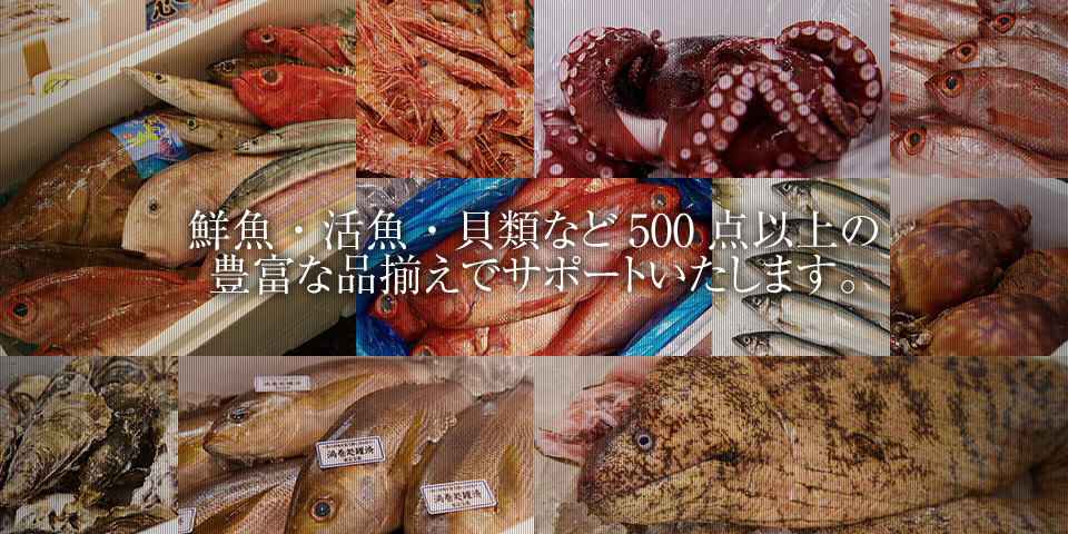 鮮魚・活魚・貝類など500点以上の豊富な品揃えでサポートいたします。